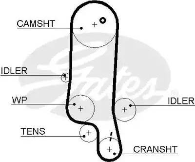 Gates 5517XS - Courroie de distribution cwaw.fr