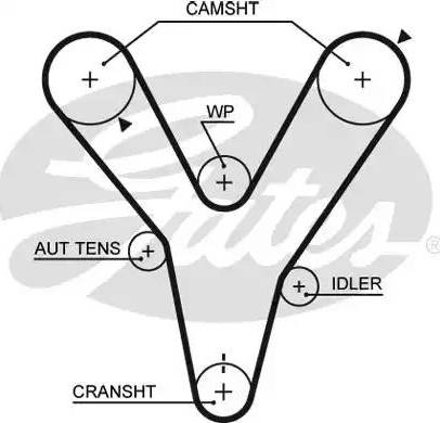 Gates 5584XS - Courroie de distribution cwaw.fr