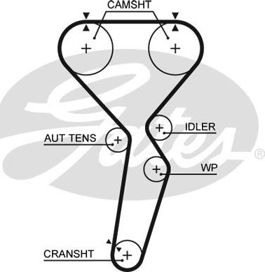 Gates 5585XS - Courroie de distribution cwaw.fr