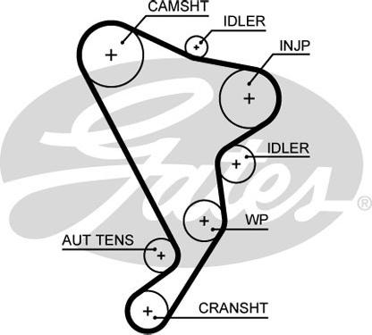Gates 5661XS - Courroie de distribution cwaw.fr