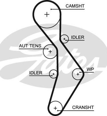 Gates 5604XS - Courroie de distribution cwaw.fr