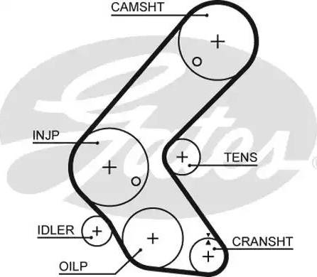 Gates 5679XS - Courroie de distribution cwaw.fr