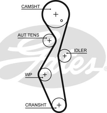 Gates 5672XS - Courroie de distribution cwaw.fr