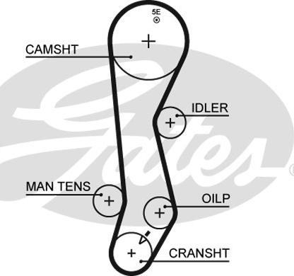 Gates 5389XS - Courroie de distribution cwaw.fr
