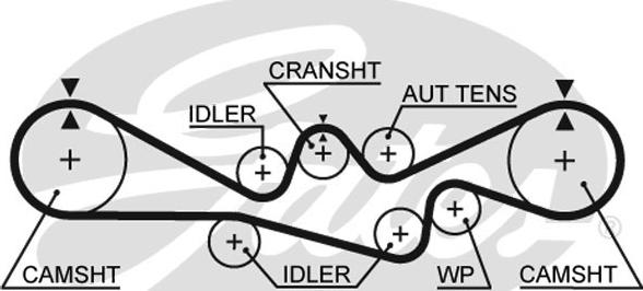 Gates 5537XS - Courroie de distribution cwaw.fr