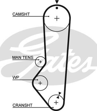 Gates 5224XS - Courroie de distribution cwaw.fr