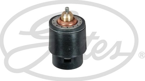 Gates TH598105 - Thermostat d'eau cwaw.fr