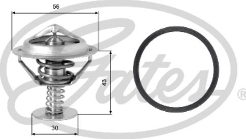 Gates TH05377G1 - Thermostat d'eau cwaw.fr