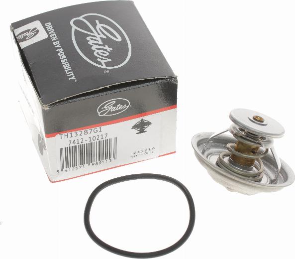 Gates TH13287G1 - Thermostat d'eau cwaw.fr