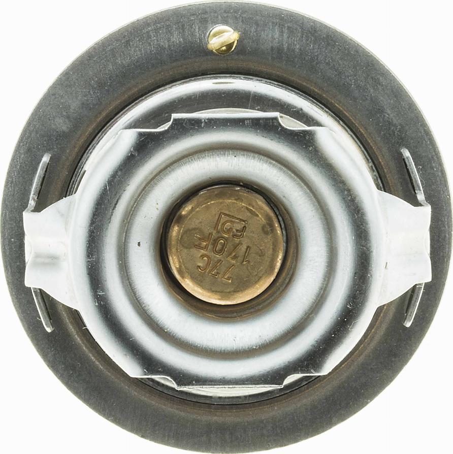 Gates TH32478G1 - Thermostat d'eau cwaw.fr