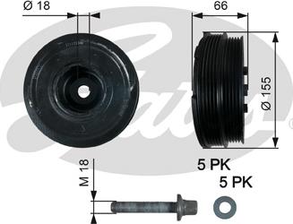 Gates TVD1037A - Poulie, vilebrequin cwaw.fr