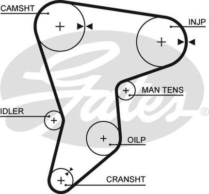 GATES-AU T996 - Courroie de distribution cwaw.fr