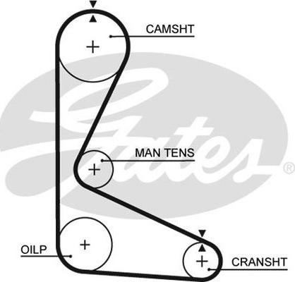 GATES-AU T615 - Courroie de distribution cwaw.fr