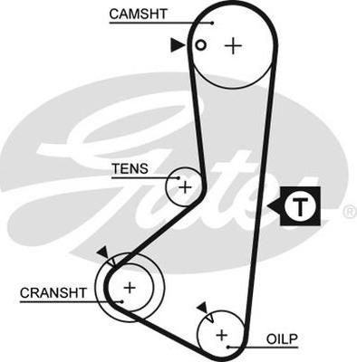 GATES-BR 5075XS - Courroie de distribution cwaw.fr