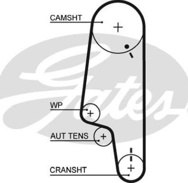 GATES-BR 20524X19XS - Courroie de distribution cwaw.fr