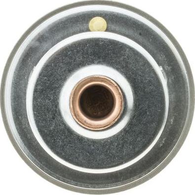 GATES-MX 33338 - Thermostat d'eau cwaw.fr