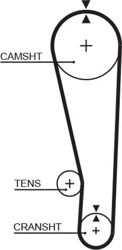 GATES-MX T164 - Courroie de distribution cwaw.fr