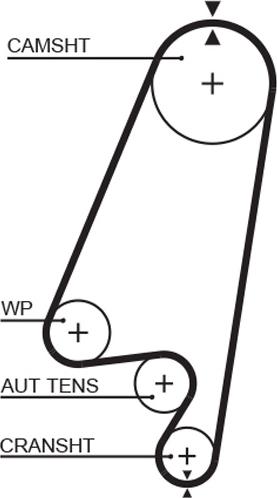 GATES-MX T1022 - Courroie de distribution cwaw.fr