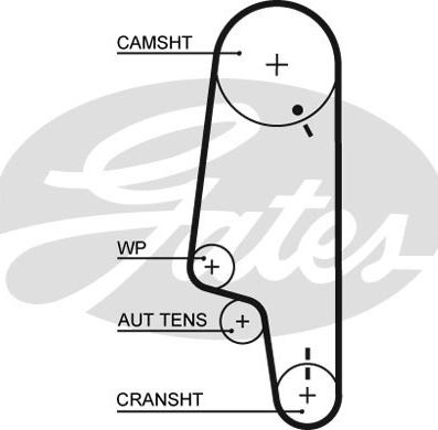 GATES-SEA T1548 - Courroie de distribution cwaw.fr