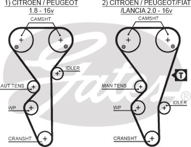 GATES-SEA T1504 - Courroie de distribution cwaw.fr