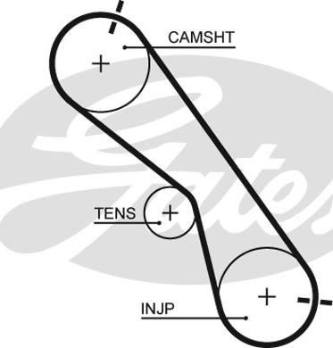 GATES-SEA T1511 - Courroie de distribution cwaw.fr