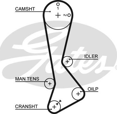 GATES-SEA T1102 - Courroie de distribution cwaw.fr