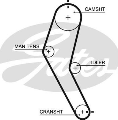 GATES-SEA T1120 - Courroie de distribution cwaw.fr