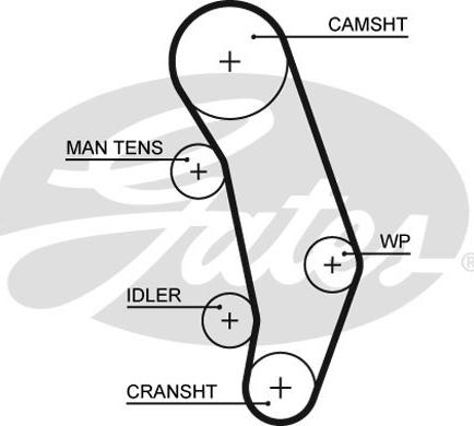 GATES-SEA T765 - Courroie de distribution cwaw.fr