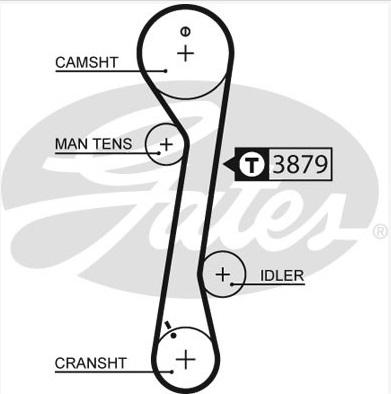 GATES-SEA T719 - Courroie de distribution cwaw.fr