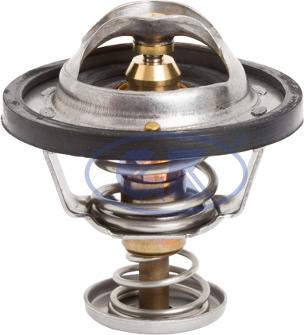 GK 701204 - Thermostat d'eau cwaw.fr