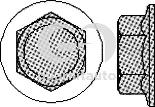 Guarnitauto 701005-1022 - Jeu de boulons de culasse de cylindre cwaw.fr