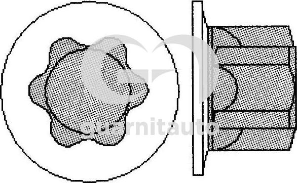 Guarnitauto 703005-1010 - Jeu de boulons de culasse de cylindre cwaw.fr