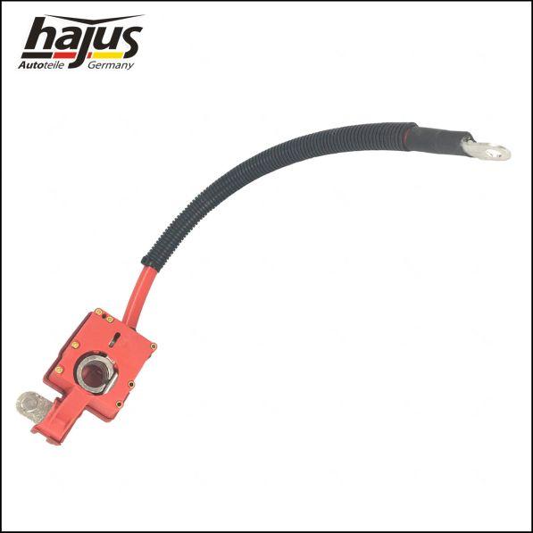 hajus Autoteile 9191254 - Cosse de batterie cwaw.fr