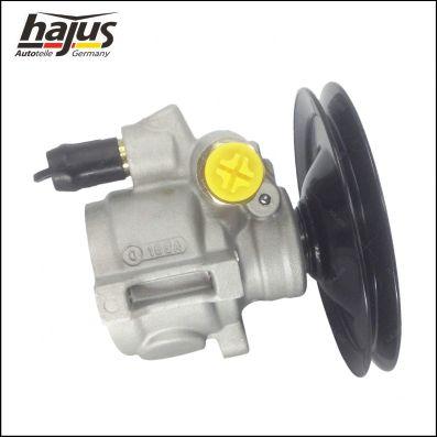 hajus Autoteile 4221044 - Pompe hydraulique, direction cwaw.fr