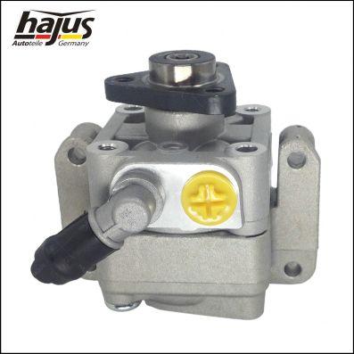 hajus Autoteile 4221041 - Pompe hydraulique, direction cwaw.fr