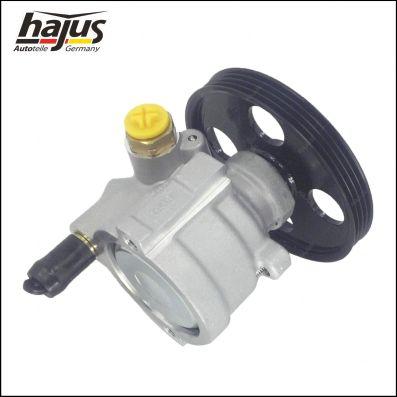 hajus Autoteile 4221048 - Pompe hydraulique, direction cwaw.fr