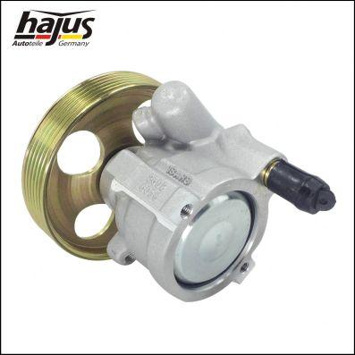 hajus Autoteile 4221047 - Pompe hydraulique, direction cwaw.fr