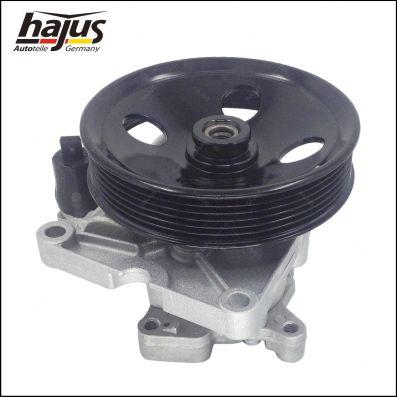 hajus Autoteile 4221033 - Pompe hydraulique, direction cwaw.fr