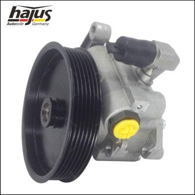 hajus Autoteile 4221032 - Pompe hydraulique, direction cwaw.fr