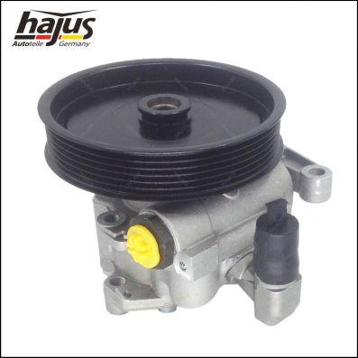 hajus Autoteile 4221032 - Pompe hydraulique, direction cwaw.fr