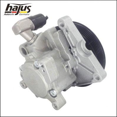 hajus Autoteile 4221032 - Pompe hydraulique, direction cwaw.fr