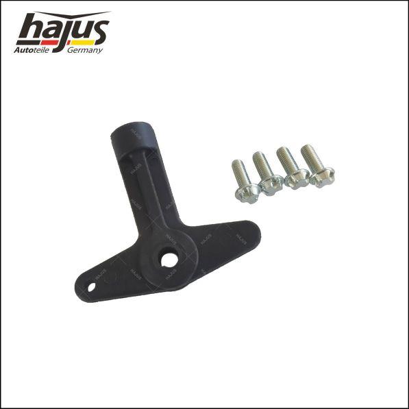 hajus Autoteile 6011013 - Écrou de roue cwaw.fr