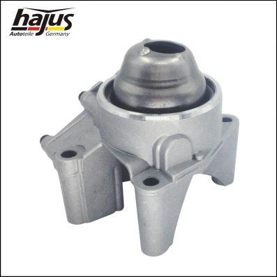 hajus Autoteile 1151159 - Pompe à huile cwaw.fr