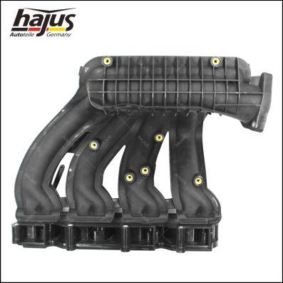 hajus Autoteile 2511038 - Module de tube d'admission cwaw.fr