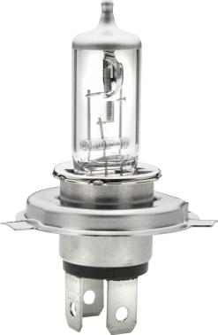 HELLA 8GJ 002 525-898 - Ampoule, projecteur principal cwaw.fr