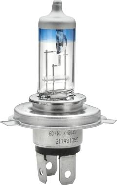 HELLA 8GJ 002 525-366 - Ampoule, projecteur principal cwaw.fr