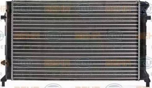 HELLA 8MK 376 700-494 - Radiateur, refroidissement du moteur cwaw.fr