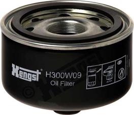 Hengst Filter H300W09 - Filtre à huile cwaw.fr