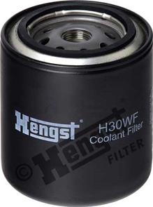 Hengst Filter H30WF - Filtre de liquide de refroidissement cwaw.fr