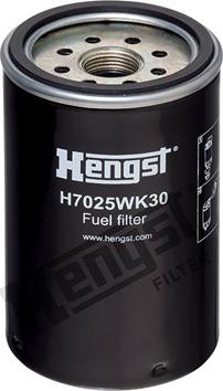 Hengst Filter H7025WK30 - Filtre à carburant cwaw.fr